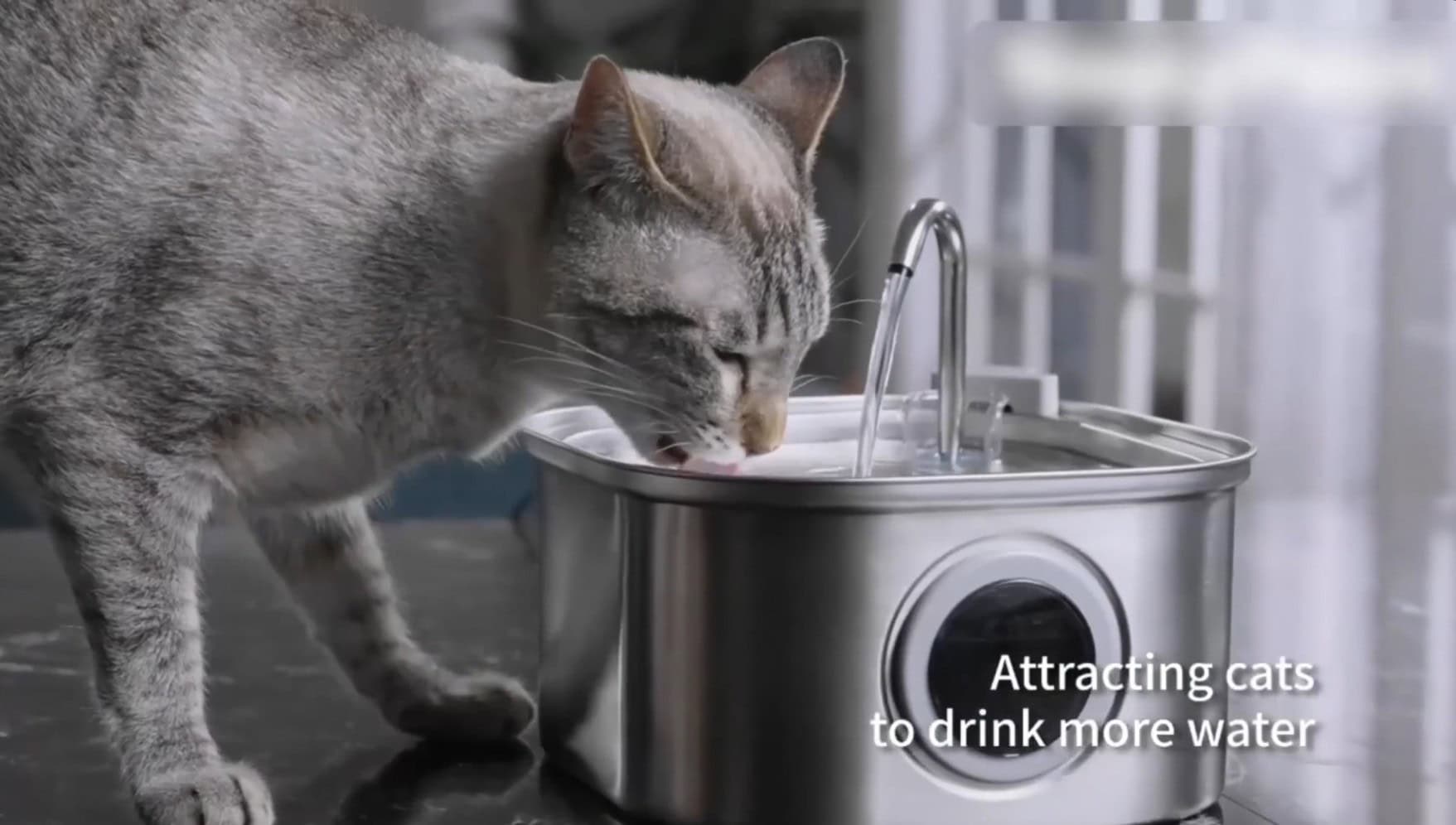 usb powered pet water dispenser
