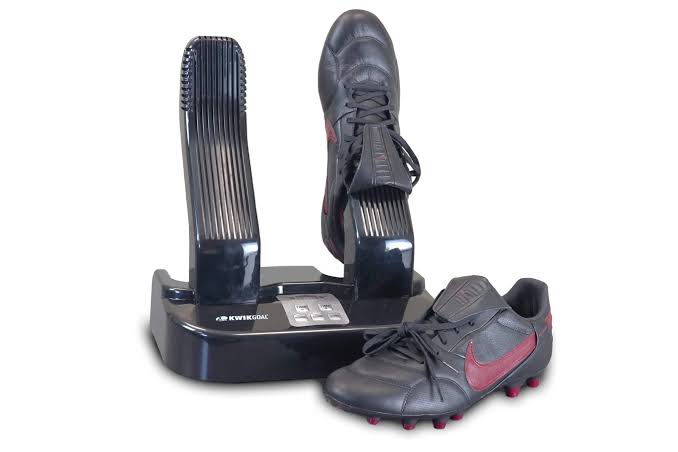 portable electric shoe dryer