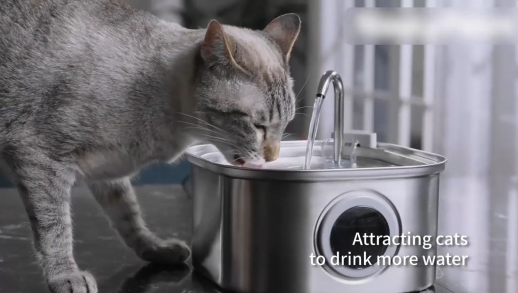 usb powered pet water dispenser